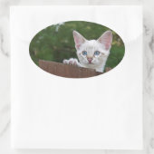 White Savannah Cat Oval Sticker (Tasche)