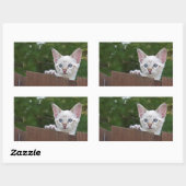 White Savannah Cat Rectangle Sticker (Blatt)