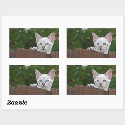 White Savannah Cat Rectangle Sticker (Blatt)