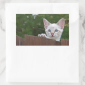 White Savannah Cat Rectangle Sticker (Tasche)