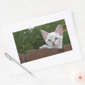 White Savannah Cat Rectangle Sticker (Umschlag)