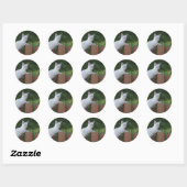 White Savannah Cat Round Sticker (Blatt)