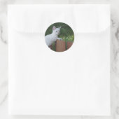 White Savannah Cat Round Sticker (Tasche)