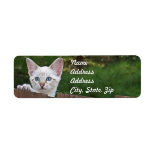 White Savannah Cat Rücksendeadresse Sticker