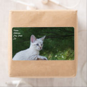 White Savannah Cat Shipping Label (Insitu)