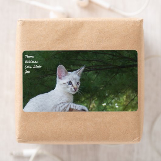 White Savannah Cat Shipping Label (Insitu)