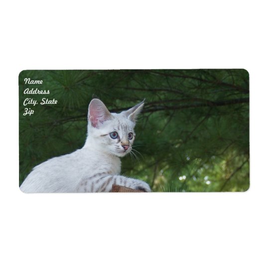 White Savannah Cat Shipping Label (Vorne)
