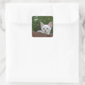 White Savannah Cat Square Sticker (Tasche)