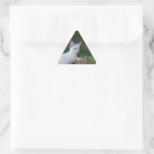 White Savannah Cat Triangle Sticker (Tasche)