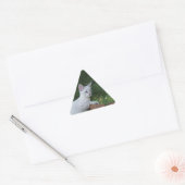 White Savannah Cat Triangle Sticker (Umschlag)