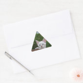 White Savannah Cat Triangle Sticker (Umschlag)