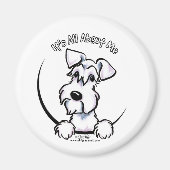 White Schnauzer IAAM Magnet (Vorne)