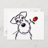 White Schnauzer Sweetheart Rose Postkarte (Vorne/Hinten)