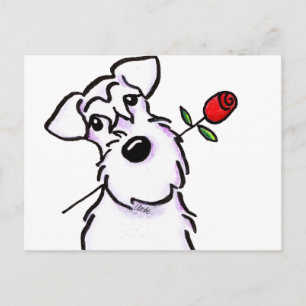 White Schnauzer Sweetheart Rose Postkarte