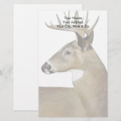 White Schwanz Buck Briefpapier (Vorne/Hinten)