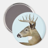 White Schwanz Buck Magnet (Vorderseite/Rückseite)