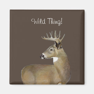 White Schwanz Buck Magnet