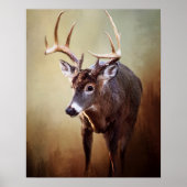 White Schwanz Buck Poster (Vorne)