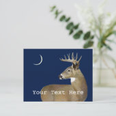 White Schwanz Buck Postkarte (Stehend Vorderseite)