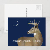 White Schwanz Buck Postkarte (Vorne/Hinten)