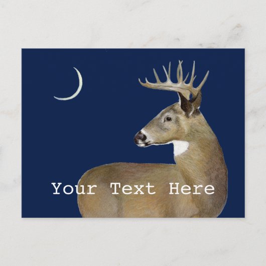 White Schwanz Buck Postkarte (Vorderseite)