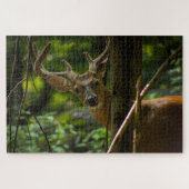White Schwanz Buck Puzzle (Horizontal)
