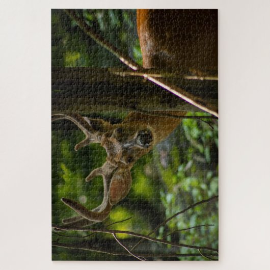 White Schwanz Buck Puzzle (Vertikal)