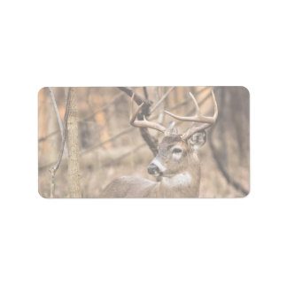 White Schwanz Deer Buck Adressaufkleber