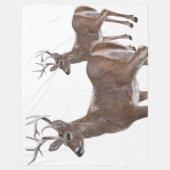 White Schwanz Deer Buck Fleecedecke (Vorderseite)