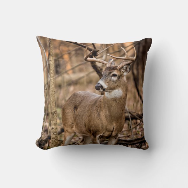White Schwanz Deer Buck Kissen (Vorderseite)