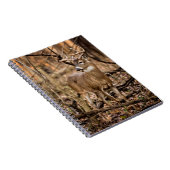 White Schwanz Deer Buck Notizblock (Rechte Seite)