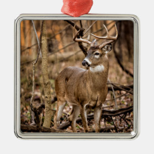 White Schwanz Deer Buck Ornament Aus Metall