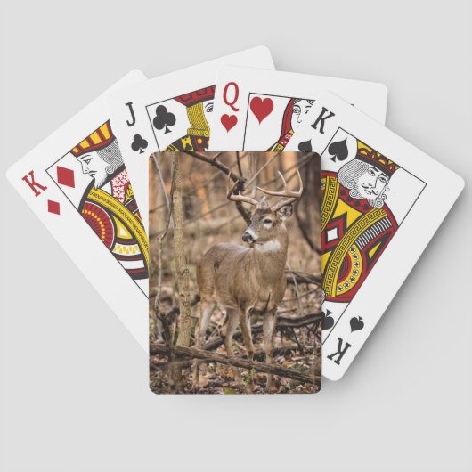White Schwanz Deer Buck Spielkarten (Rückseite)