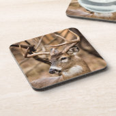 White Schwanz Deer Buck Untersetzer (Linke Seite)