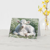White Scottish Highland Calf bei Daisies Birthday Karte (Gelbe Blume)