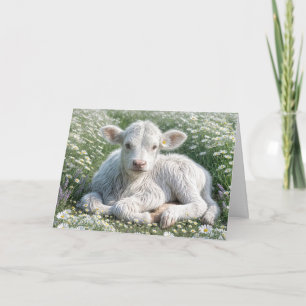 White Scottish Highland Calf Birthday Karte