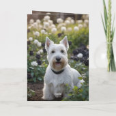 White Scottish Terrier in Schwarz-weißen Rose, Bda Karte (Rückseite)
