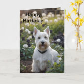 White Scottish Terrier in Schwarz-weißen Rose, Bda Karte (Gelbe Blume)