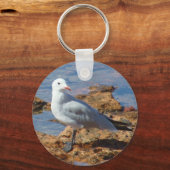 White Seagull - Schlüsselanhänger (Vorderseite)