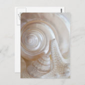 White Seashells Starfish Tropical Beach Muscheln Postkarte (Vorne/Hinten)