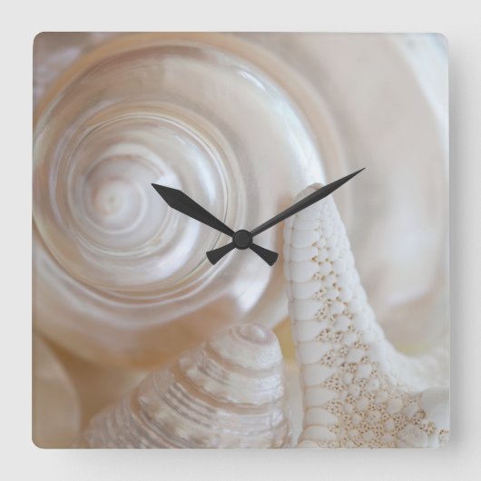 White Seashells Starfish Tropical Beach Muscheln Quadratische Wanduhr (Vorderseite)