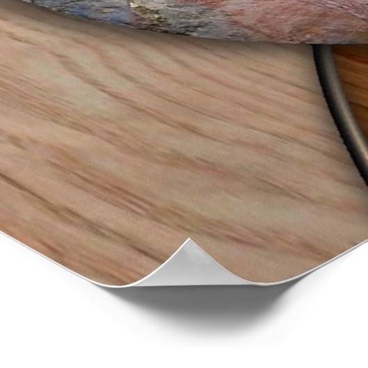 WHITE SHAMAN POSTER (Ecke)