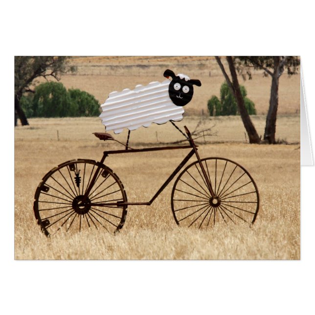 White Sheep Thrills (Vorderseite (Horizontal))