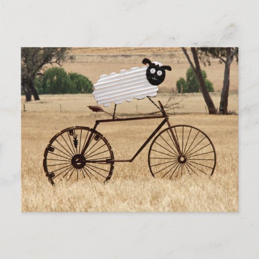 White Sheep Thrills Postkarte (Vorderseite)