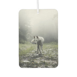 White Siberian Husky Autolufterfrischer