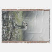 White Siberian Husky Decke (Vorderseite)