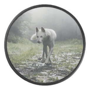 White Siberian Husky Eishockey Puck