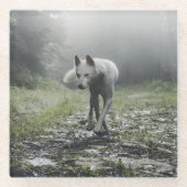 White Siberian Husky Glasuntersetzer (Vorderseite)