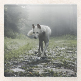 White Siberian Husky Glasuntersetzer