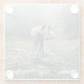 White Siberian Husky Glasuntersetzer (Rückseite)